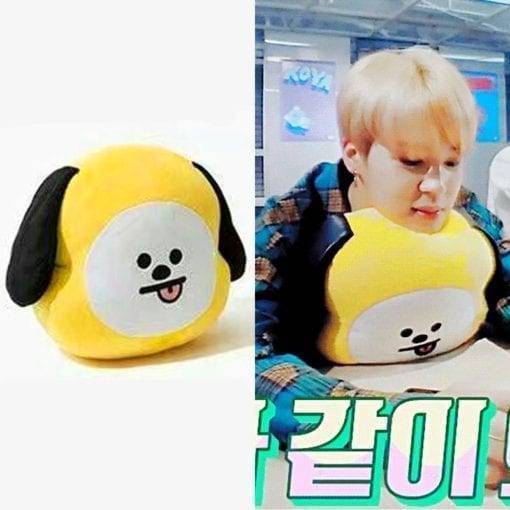 DIY BTS Bangtan Boys Plush Throw Pillows Cushion Doll（30x40cm with Cute Cartoon Pencil Case Chimmy（Dog）